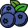 mm-ast-icon-11673